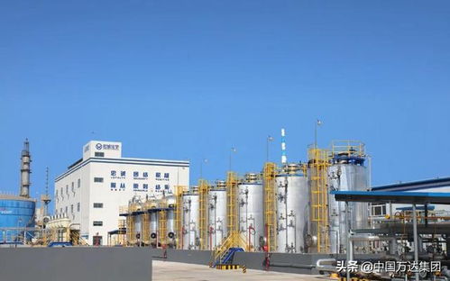 東營2021年重點項目觀摩 萬達集團四大項目引領產業升級，助推國內旅游業務發展